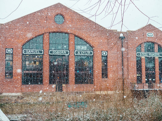 TAKE SHELTER FROM THE SNOW