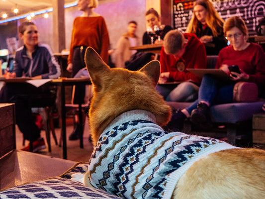 DOG LIFE DRAWING CLASS #3